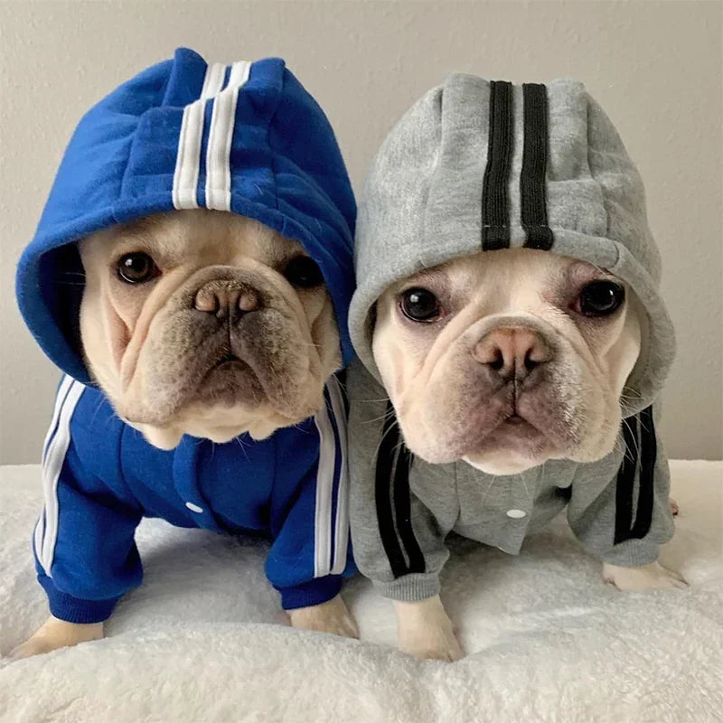 dog sweatshirts