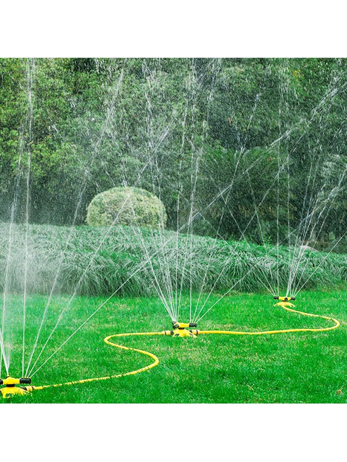 Watering tool for plants
