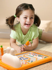 fisher price magnetic drawing board​

