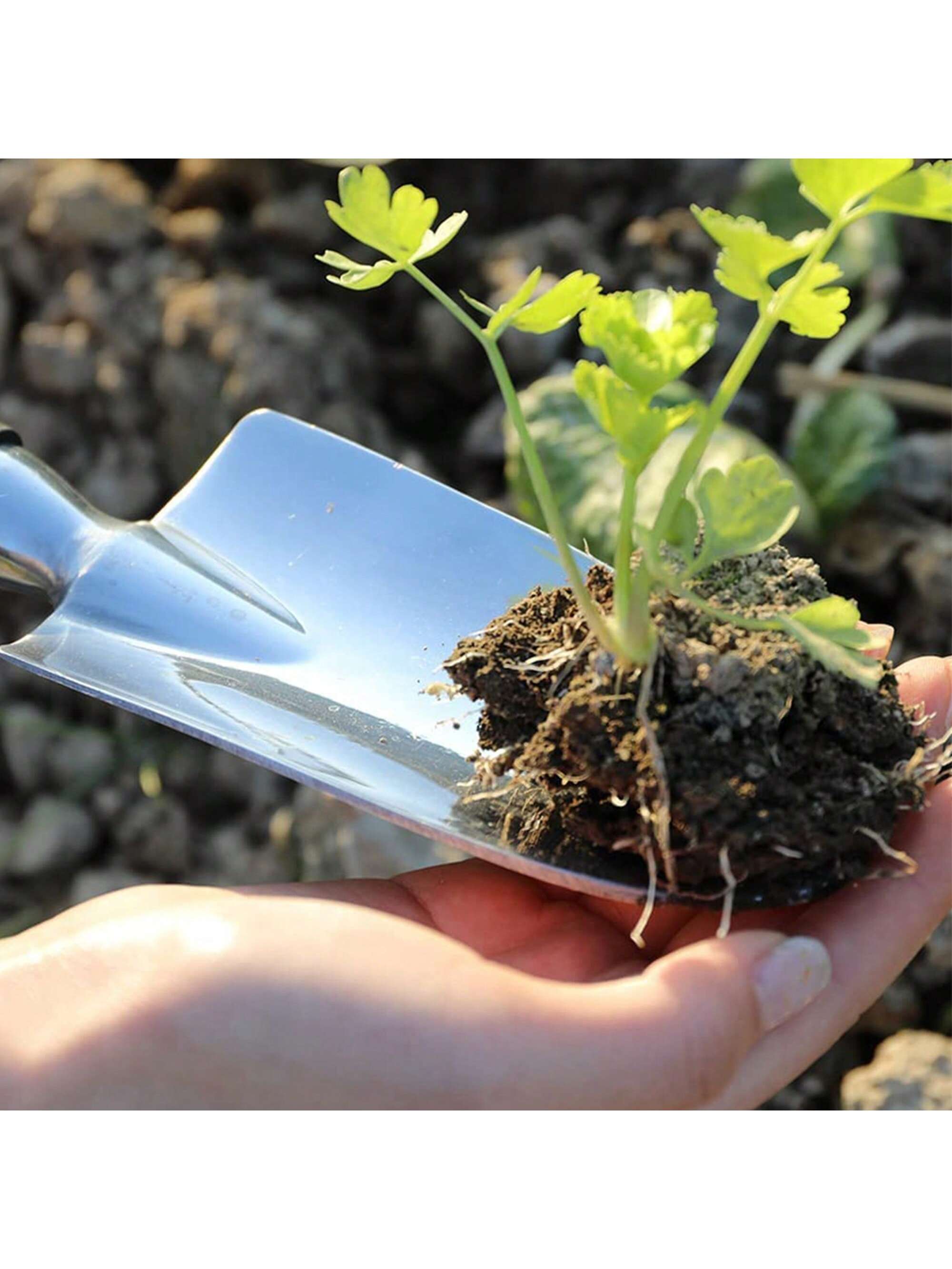 Japanese gardening tools​ 