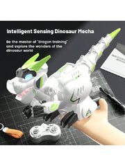 Dinosaur toys